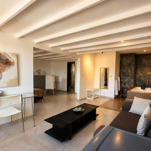 Hotel Don Gregorio - Suite Superior